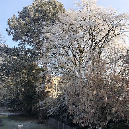 Le Jardin De Fresnes Acomodação com café da manhã Exterior foto